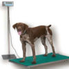 Vet-Weigh Walk-on Scale (VS-0550-36) - Image 3