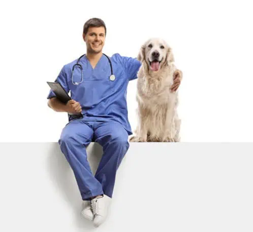 Vet with his arm around a dog.