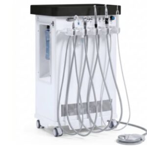 Dental Delivery Systems