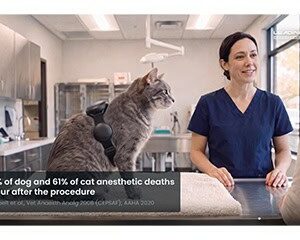 EveryBeat® Remote Wireless Veterinary Vital Signs Monitoring Device, from Leading Edge